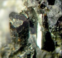 /album/galerie-photos/graoueres-p1-axinite-tourmaline-5324-mod2-jpg1/